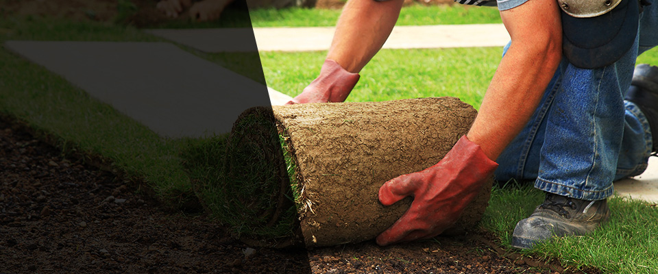 Charles Town Landscapers